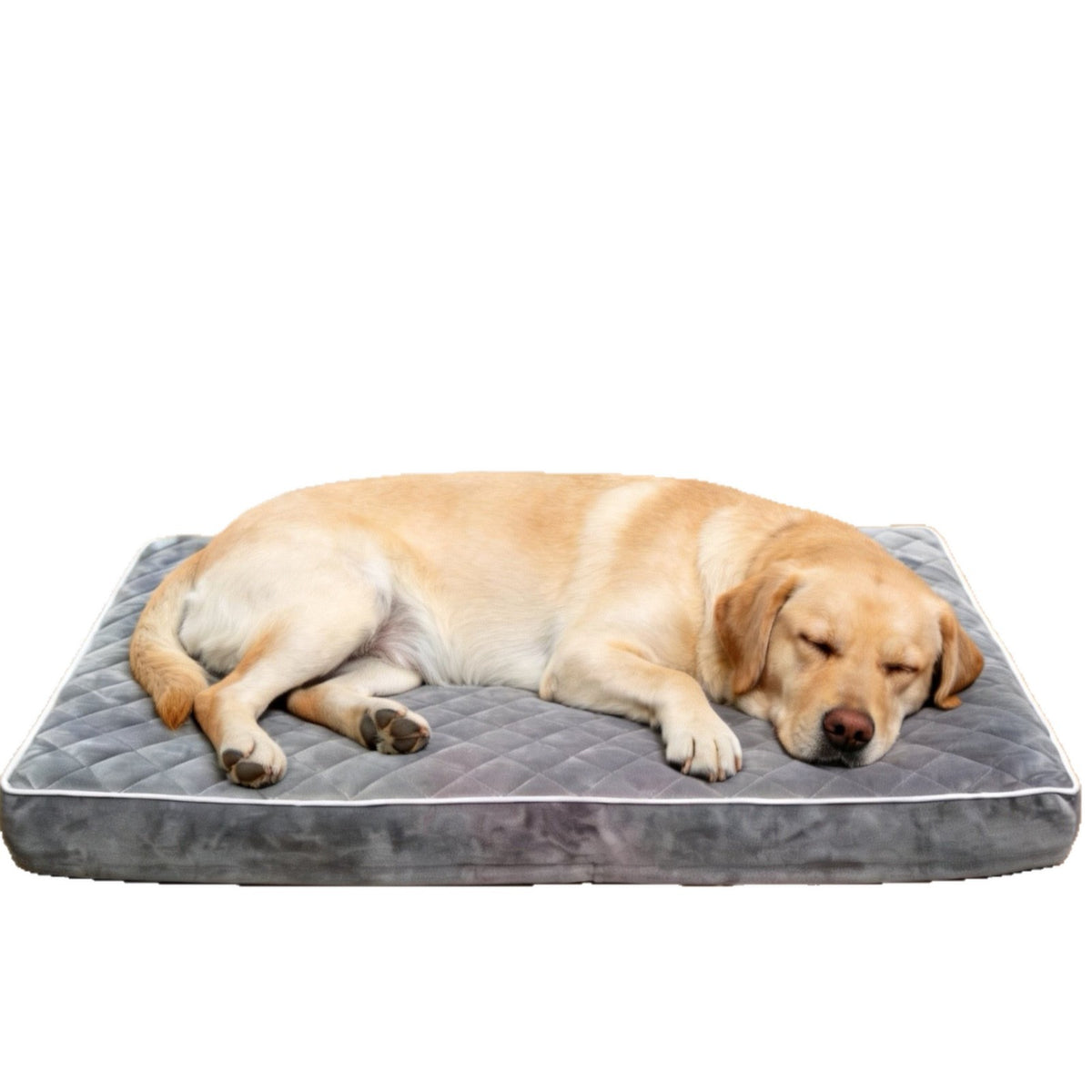 Waterproof And Removable Pet Sleeping Mat