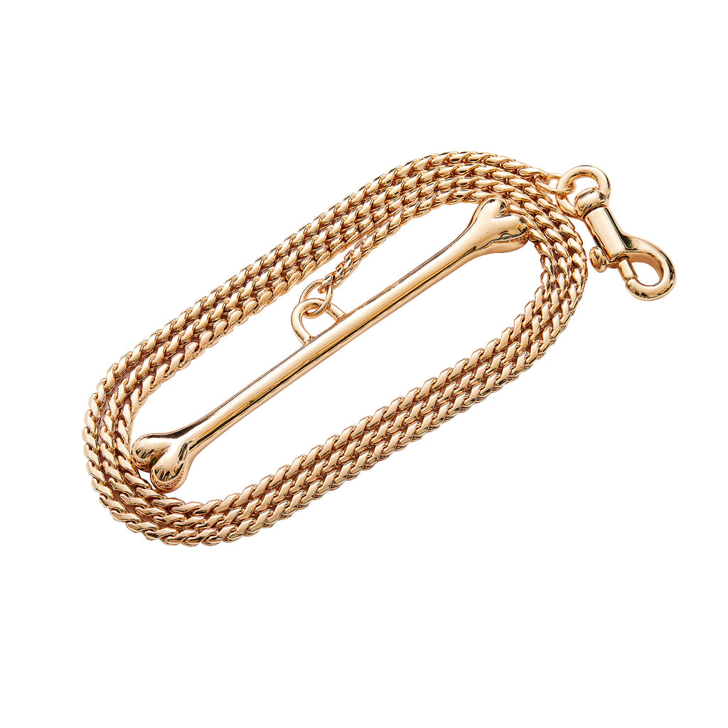 Stainless Steel Bone-Shaped Dog Leash