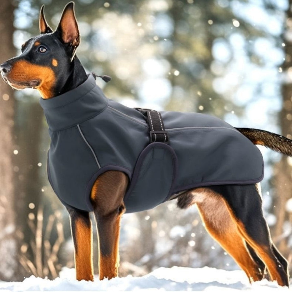 Teddy Dog Winter Vest And Thick Coat