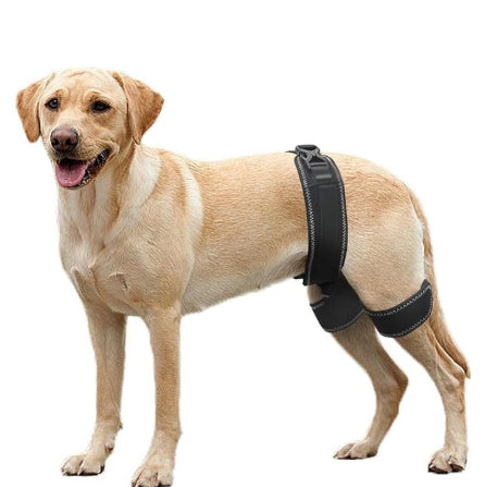 Dog Hip Support Belt
