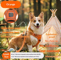 Harness-Style Reflective Dog Leash With Anti-Pull Feature