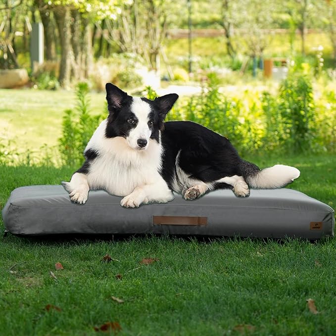 Medium Inflatable Waterproof Dog Travel Bed