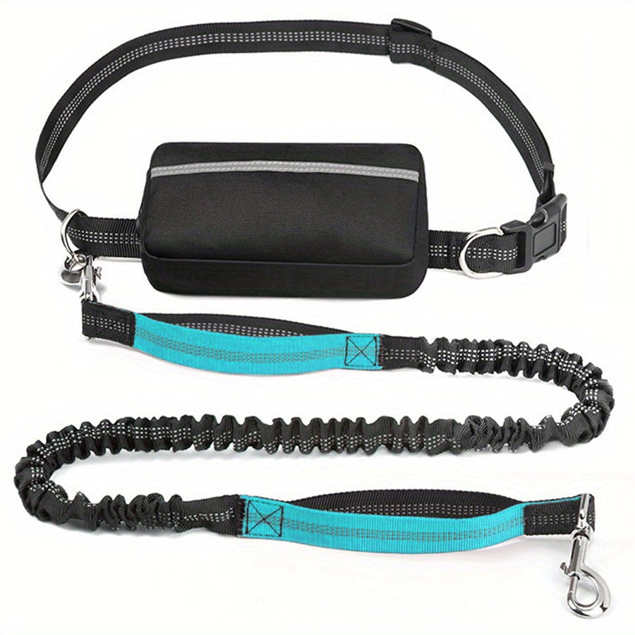 Nylon Waist Bag and Running Leash