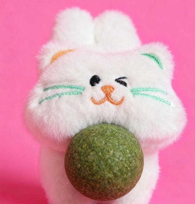 Catnip Toy Pet Supplies Plush Polygonum Multiflorum Scratch-Resistant Bite-Resistant