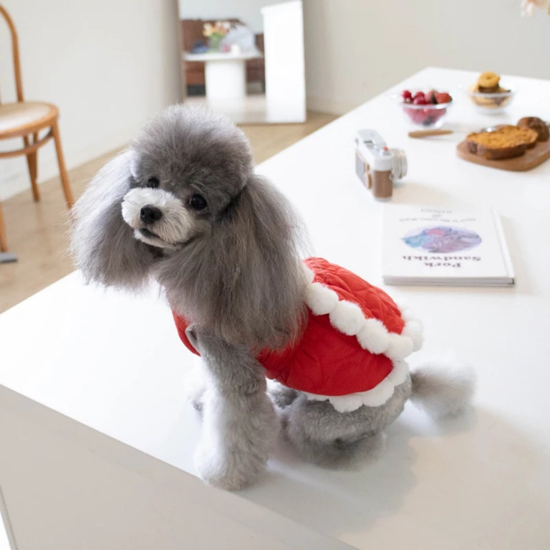 Red Chinese Knot Pet New Year Clothes