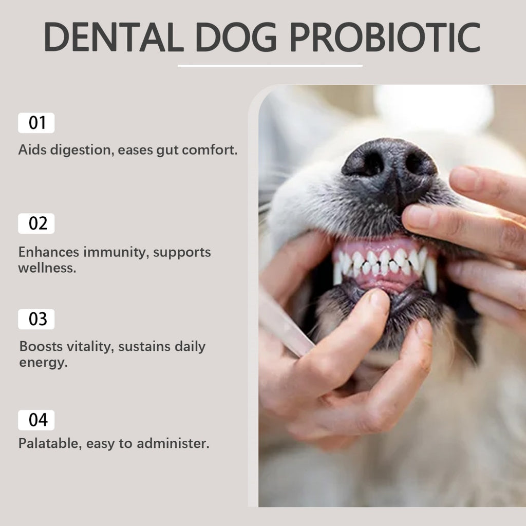 Dog Dental Care Powder Supplement