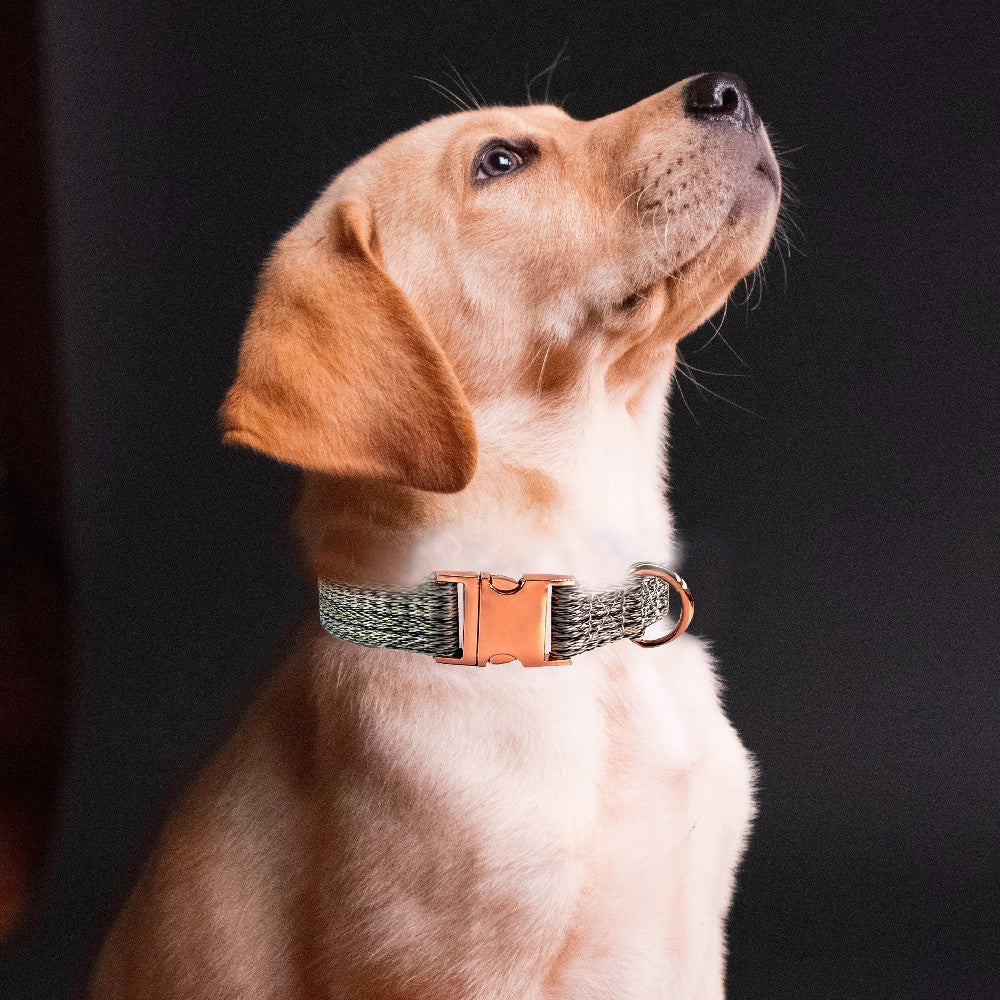 Faux Linen Metal Buckle Collar And Leash