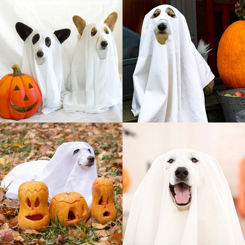 Halloween Ghost Pet Costume