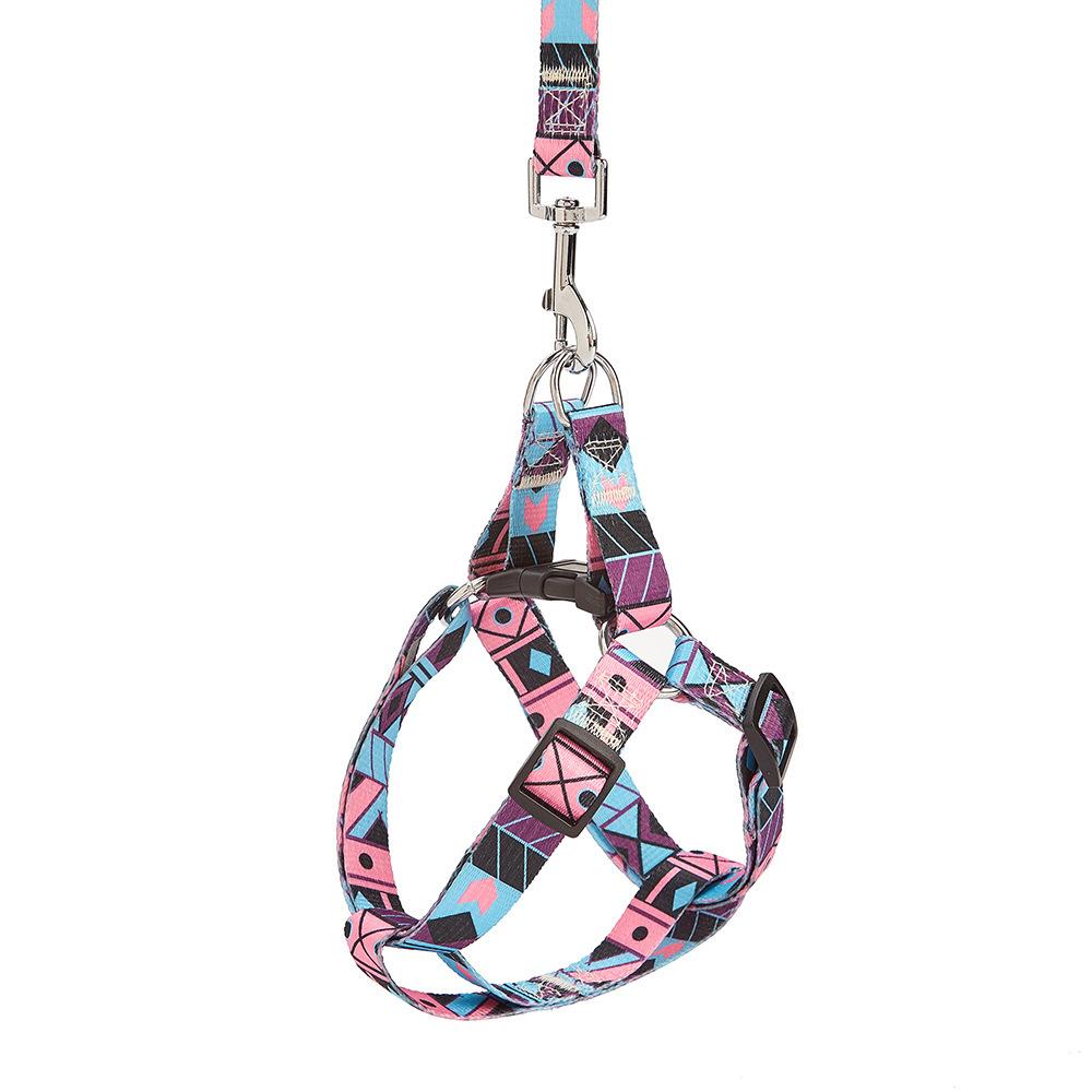 Nylon Medium-Sized Dog Leash