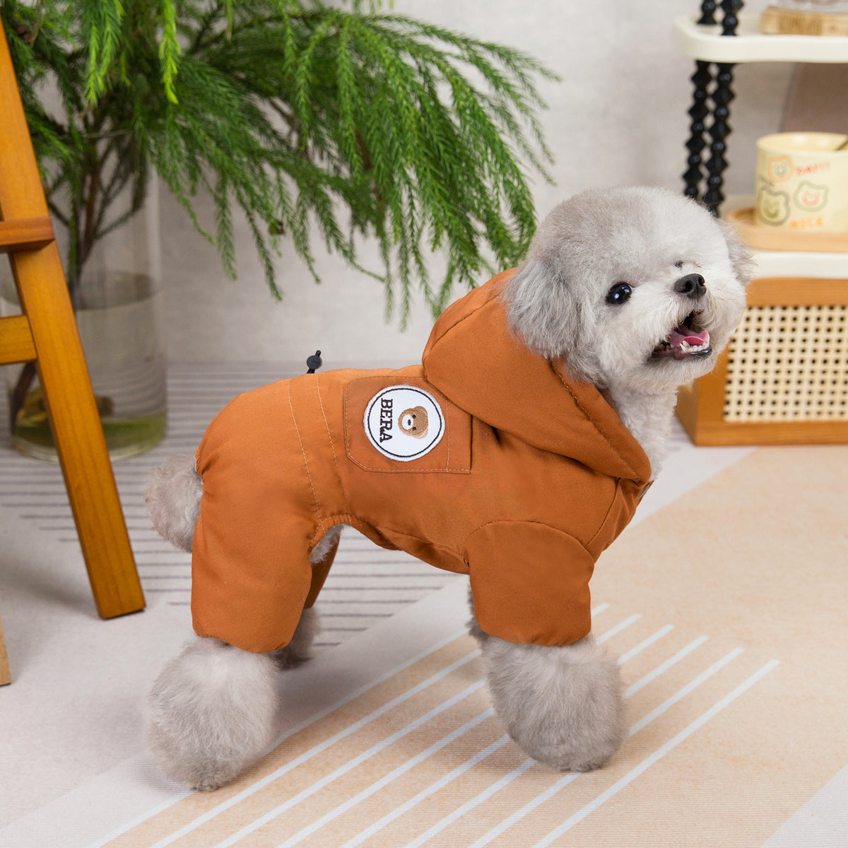 New Autumn Winter Dog Clothing