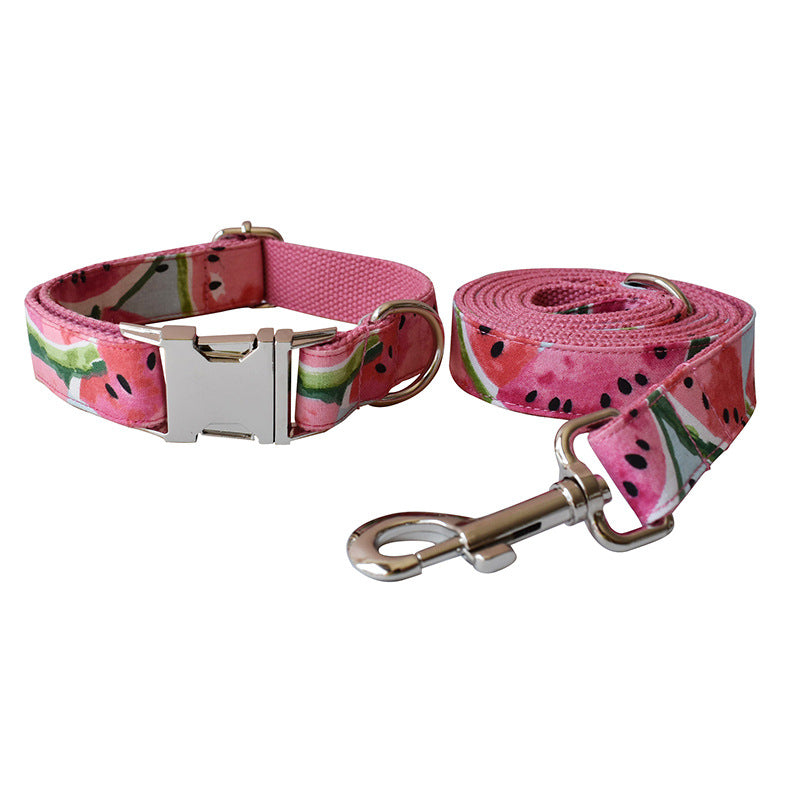 Dog Collar And Pet Leash