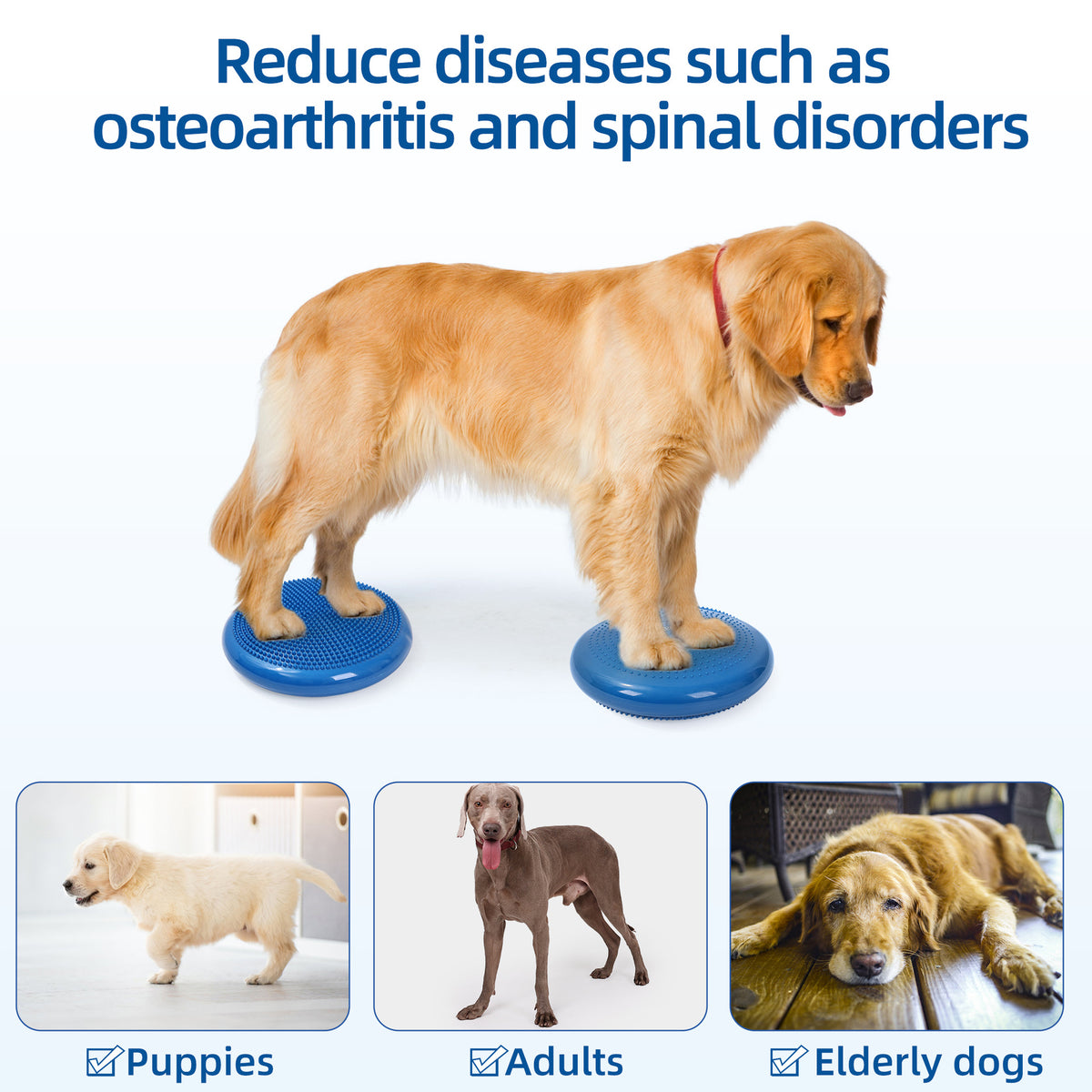 Thickened PVC Pet Balance Disc and Training Pad
