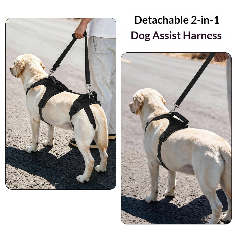 Reflective Adjustable Pet Support Strap