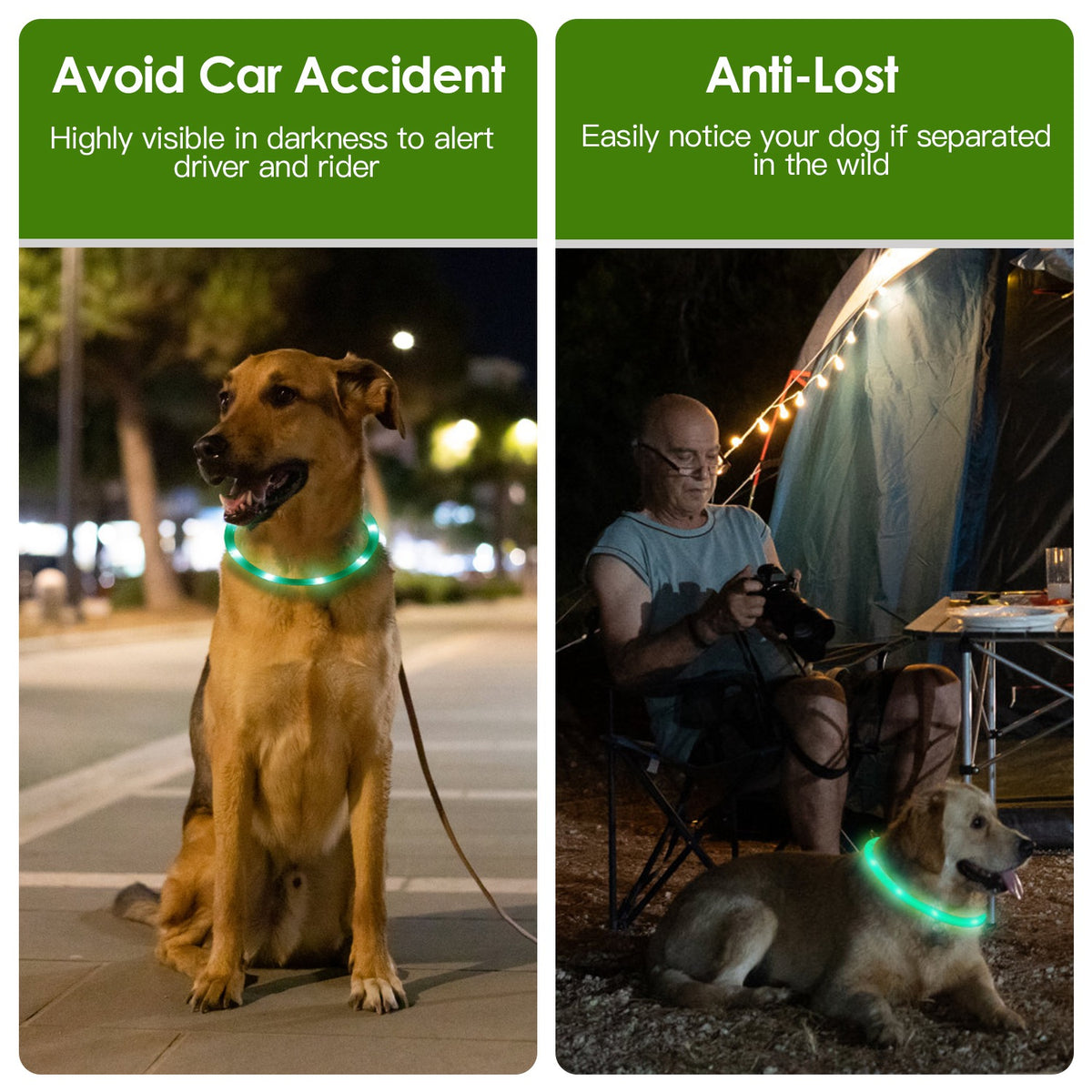 USB Rechargeable Multi-Color LED Dog Collar