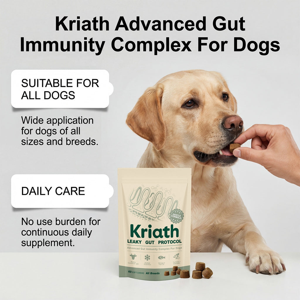 Dog Intestinal Care Complex Supplement