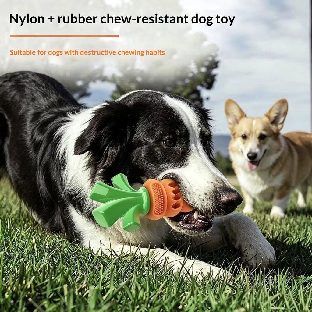 Nylon-Rubber Carrot Dog Chew Toy