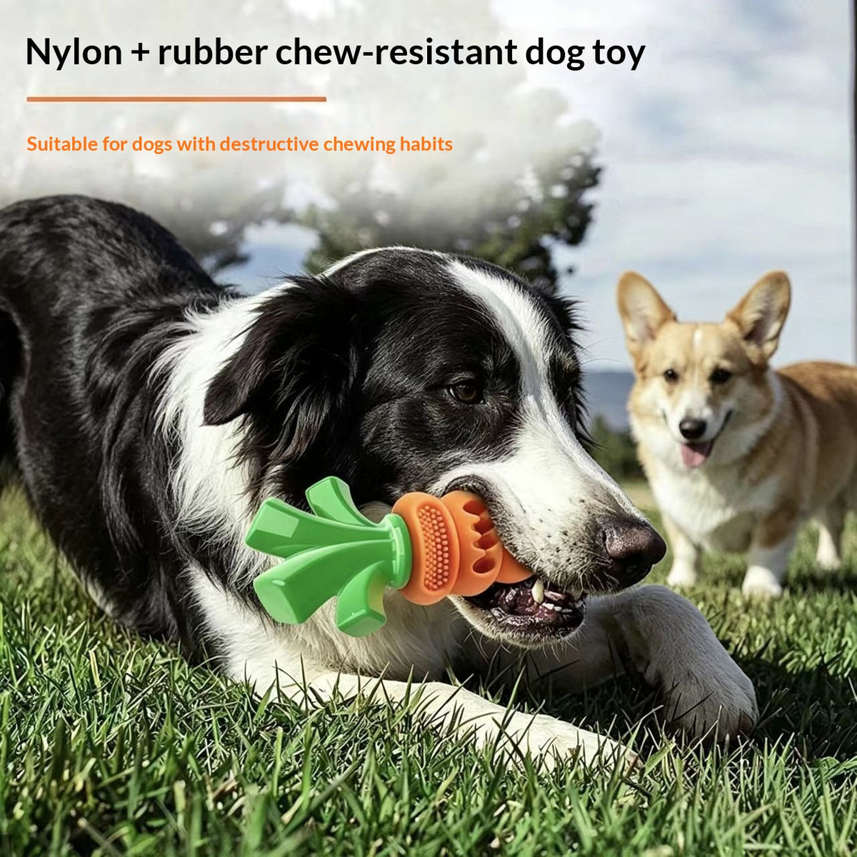 Nylon-Rubber Carrot Dog Chew Toy