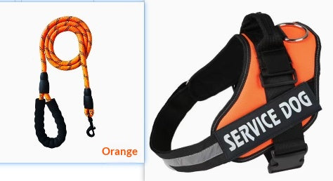 Fashion Personality Dog Chest Harness Leash