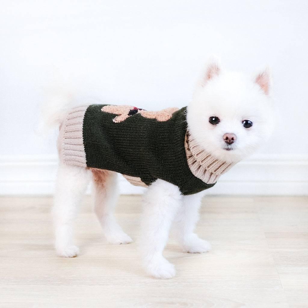 Army Green Bear Dog Sweater