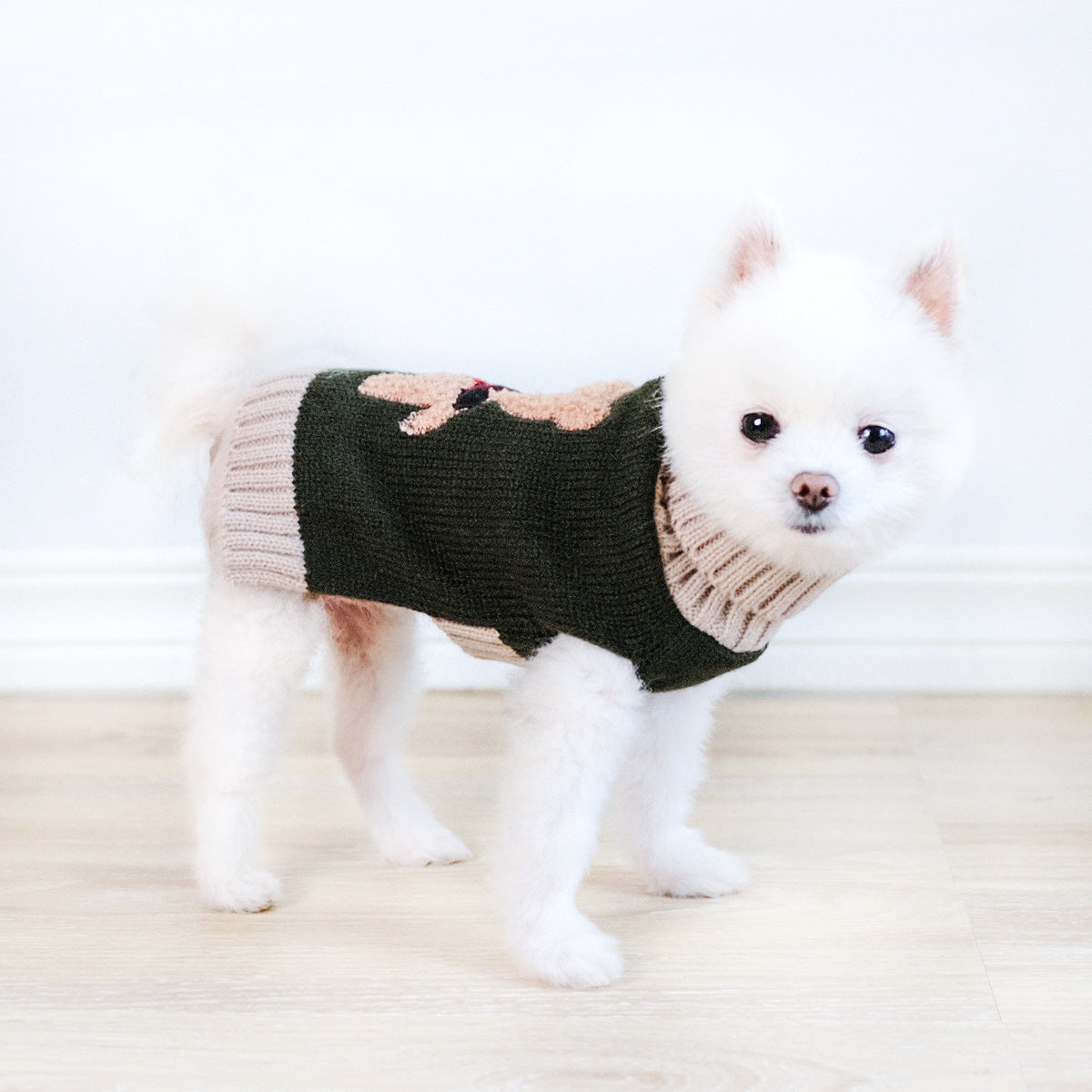 Army Green Bear Dog Sweater