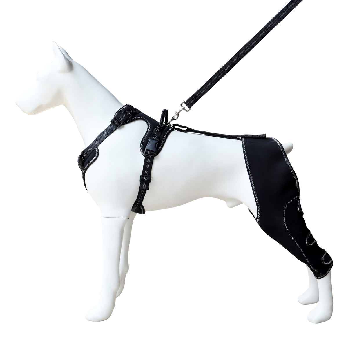 Pet Knee Brace Strap