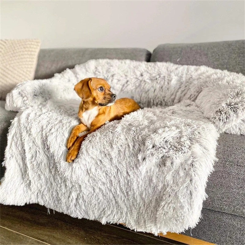 Everyday Rest Dog Bed
