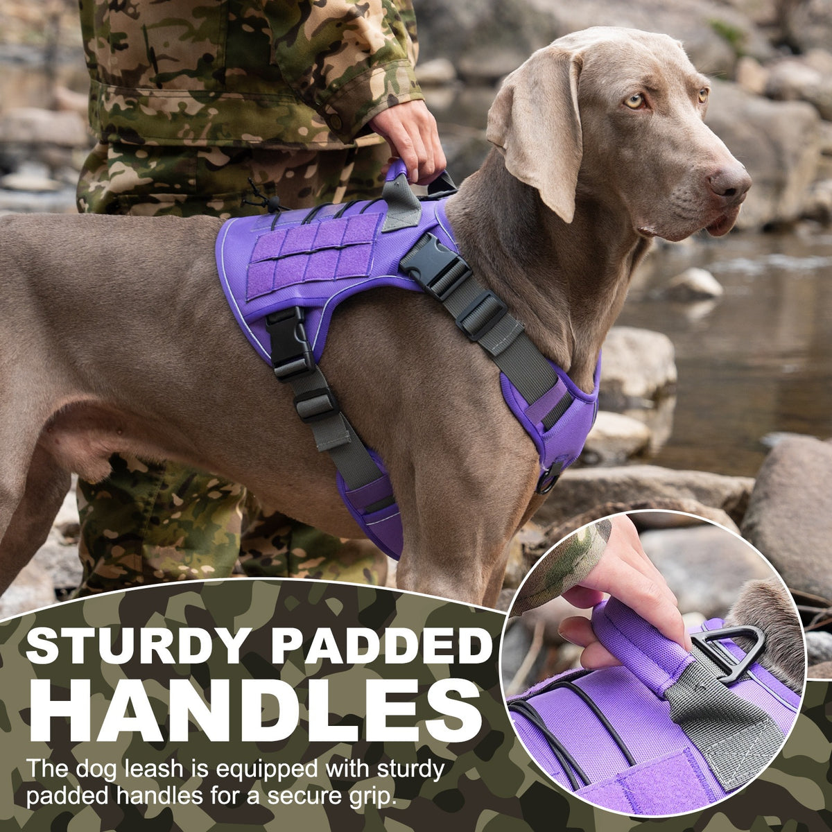Reflective Chest and Back Walking Harness
