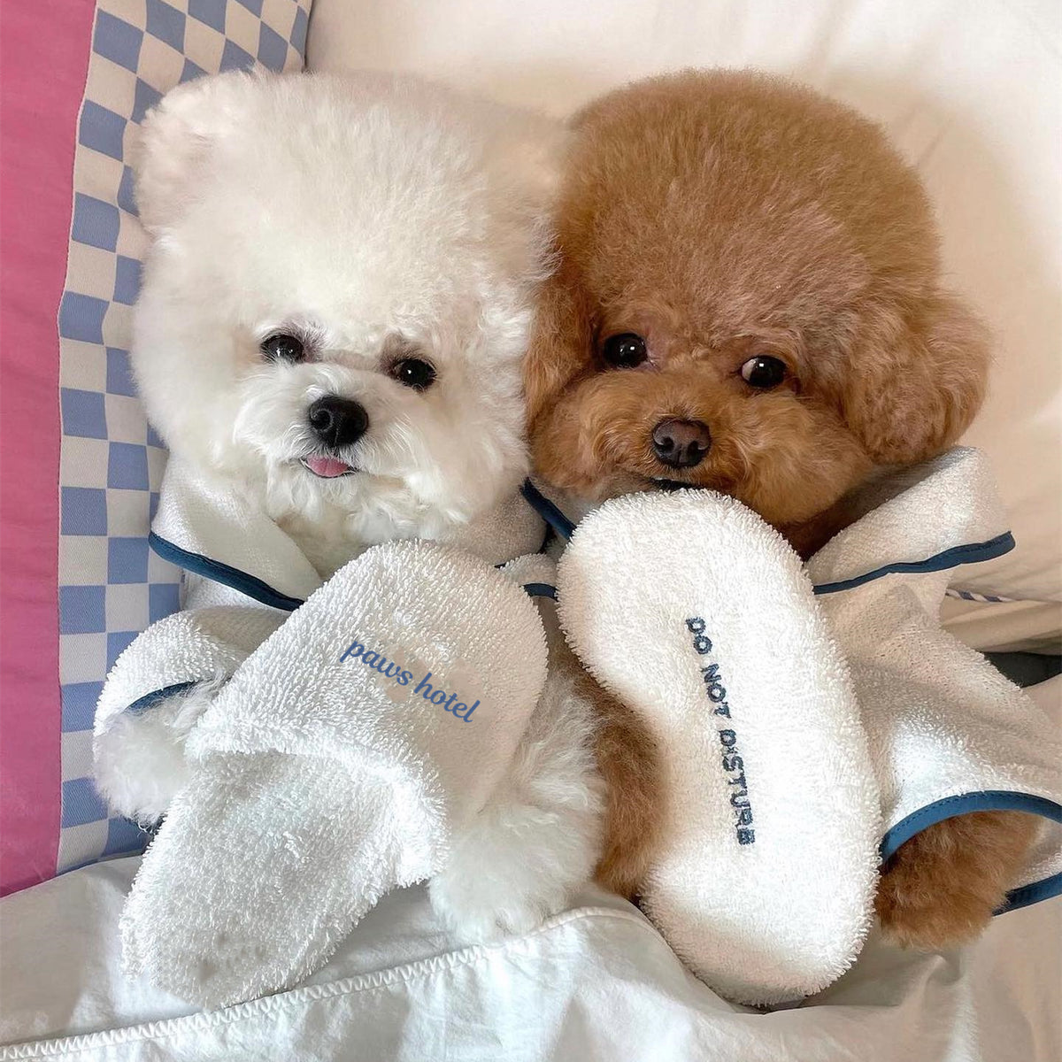 Dog Bathrobe Towel Pajamas