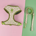Summer Cute Pet'S Chest-Back Haulage Rope Package Suitable For Medium And Large Pet Dogs