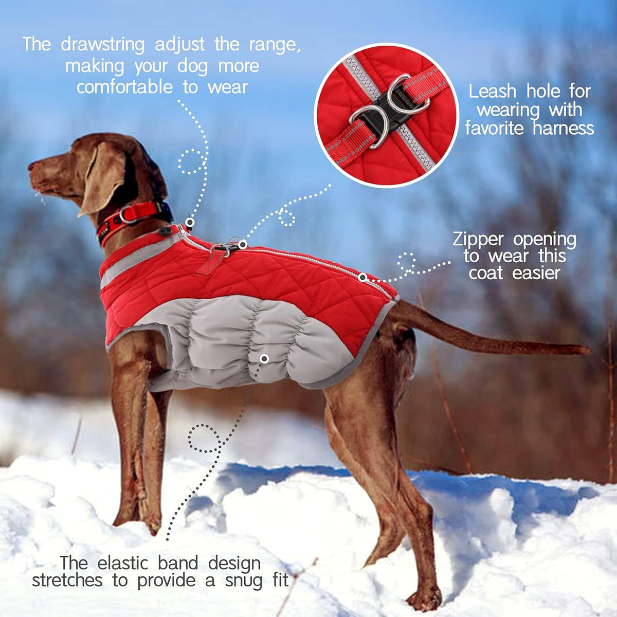 Warm Padded Winter Dog Coat