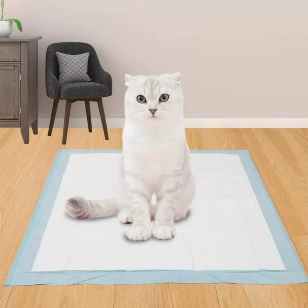 Absorbent Extra-Thick Deodorizing Toilet Pads