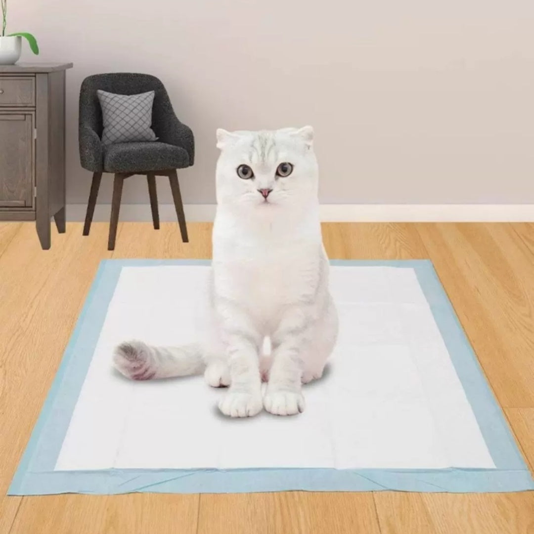 Absorbent Extra-Thick Deodorizing Toilet Pads
