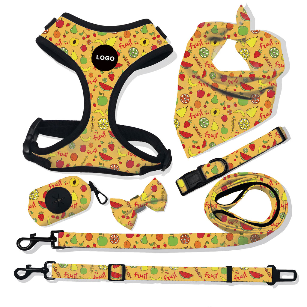 Breathable Dog Harness And Leash Set