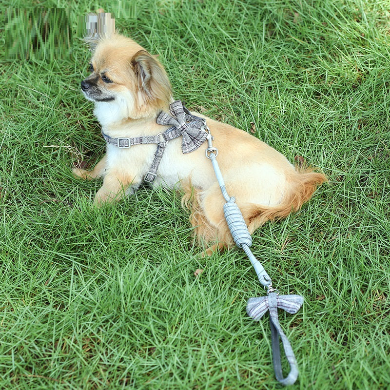 Small And Medium-Sized Leash Pet Dog Supplies