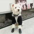 Fake Two Piece Dog Hooded Sweatshirt
