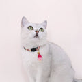 Adjustable Double Layer Nylon Net Red Necklace