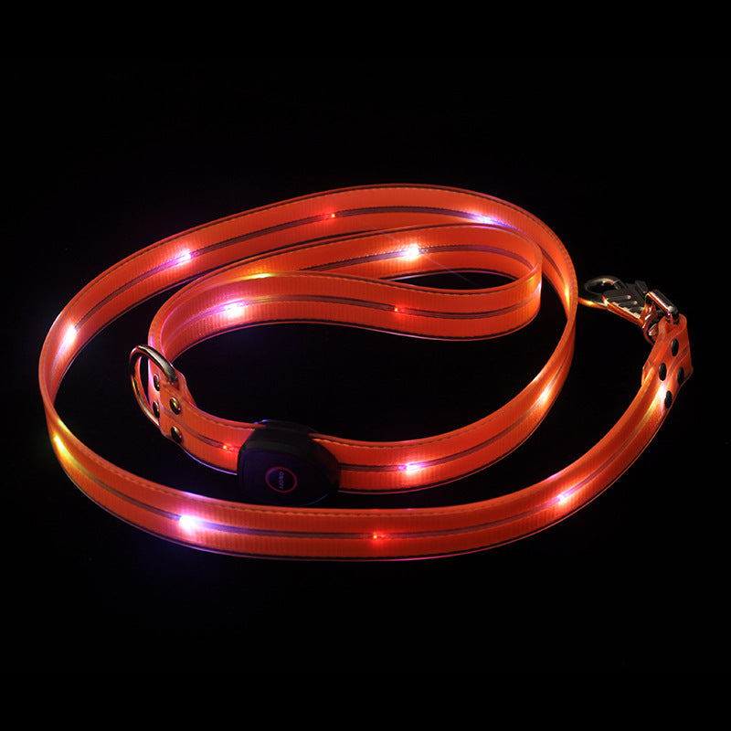 Luminous Dog Collar Colorful Pet Rope Highlight Anti-Lost Hand Holding