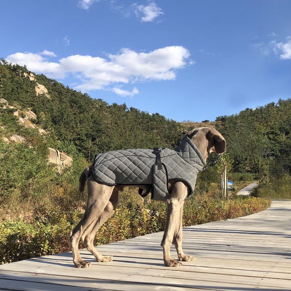 Full-Body Reflective Tactical Dog Jacket