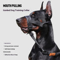 Adjustable Leather Anti-Bite Dog Muzzle