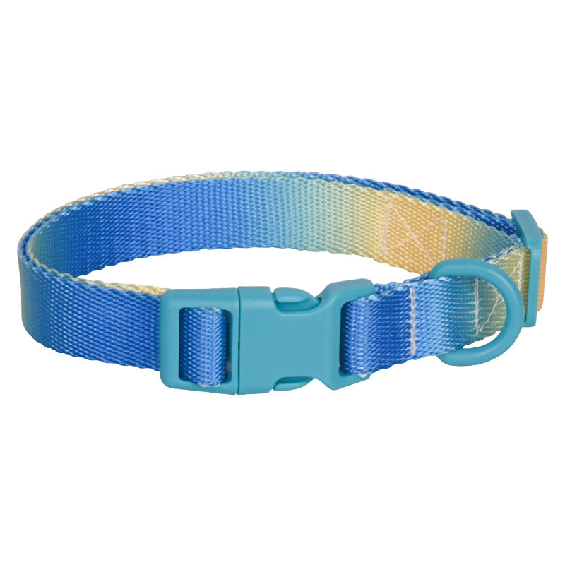 Large Anti-Rust Gradient In Dog Collar