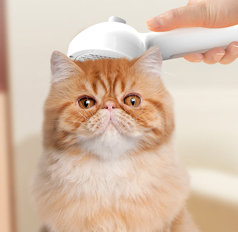 Self-Cleaning Pet Comb With Mist