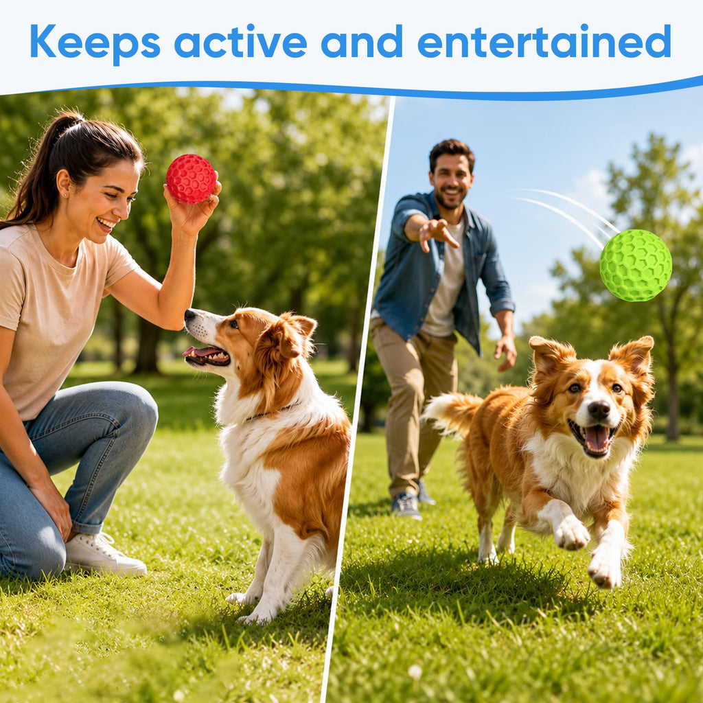 Squeaky Rubber Dog Balls 2-Pack