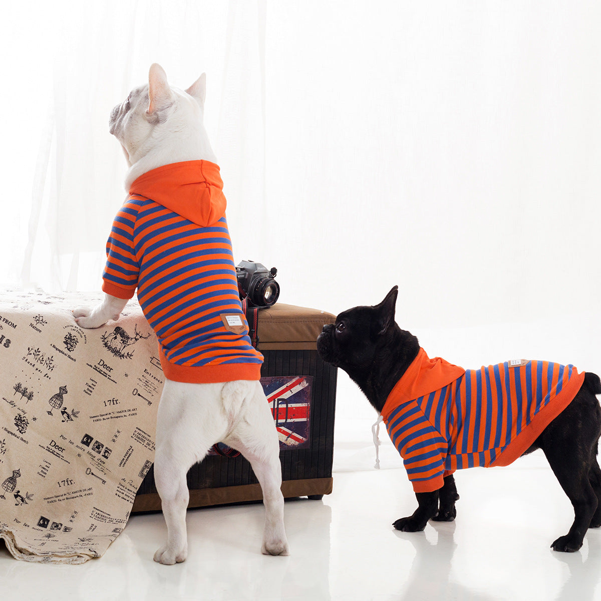 Pet Dog Autumn And Winter Fleece Hooded Sweatshirt