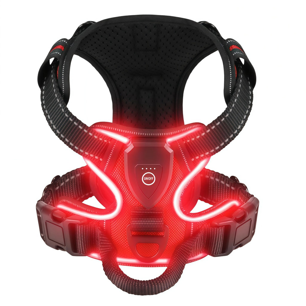 LED-Lit Rechargeable Anti-Escape Dog Harness
