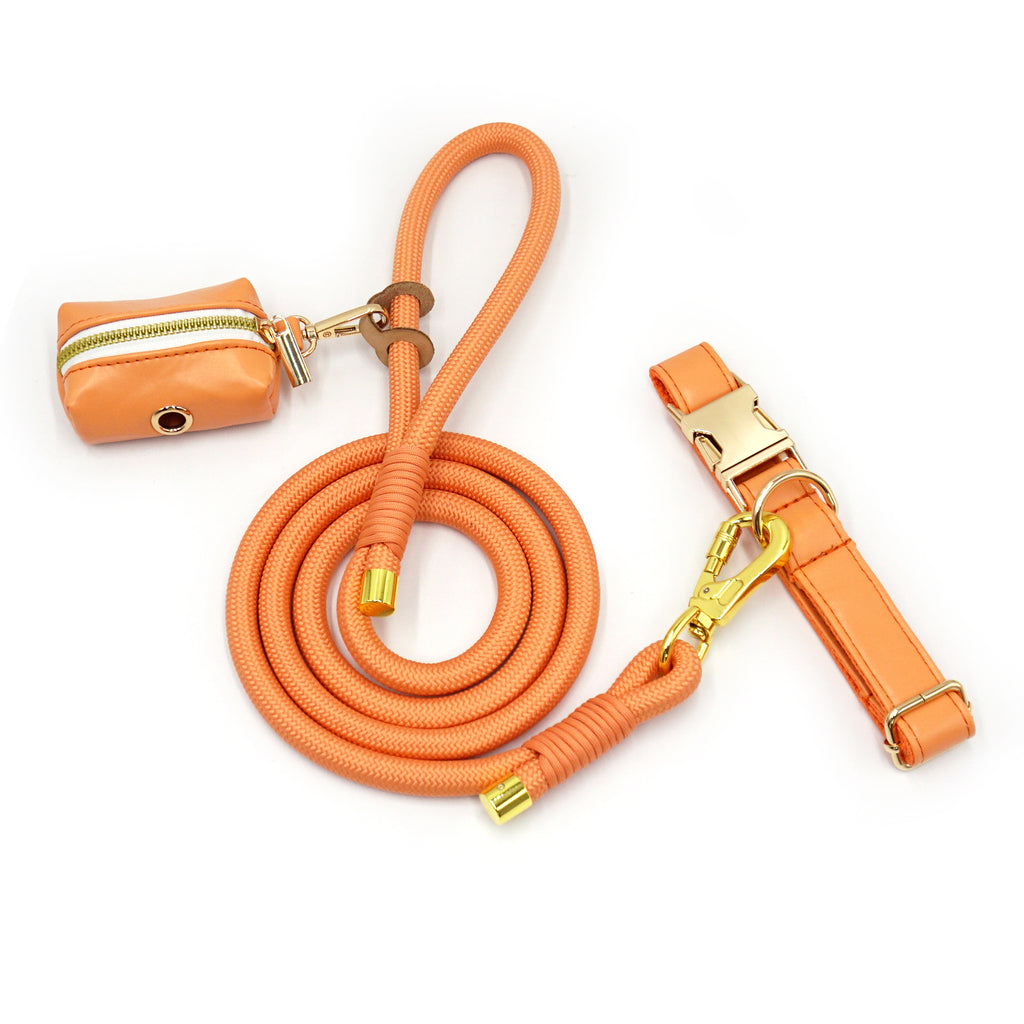New Leather Hand-Woven Round Rope Strong Dog Rope Leash