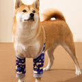 Anti-Dirty Pet Knee Pad Covers