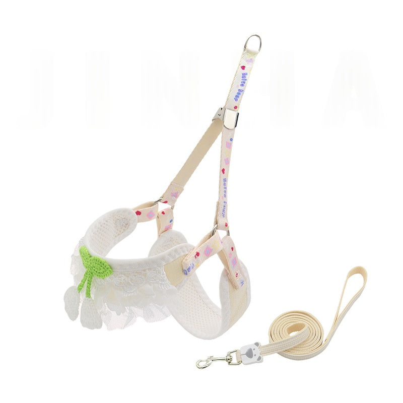 Polyester Dog Leash for Small Dogs