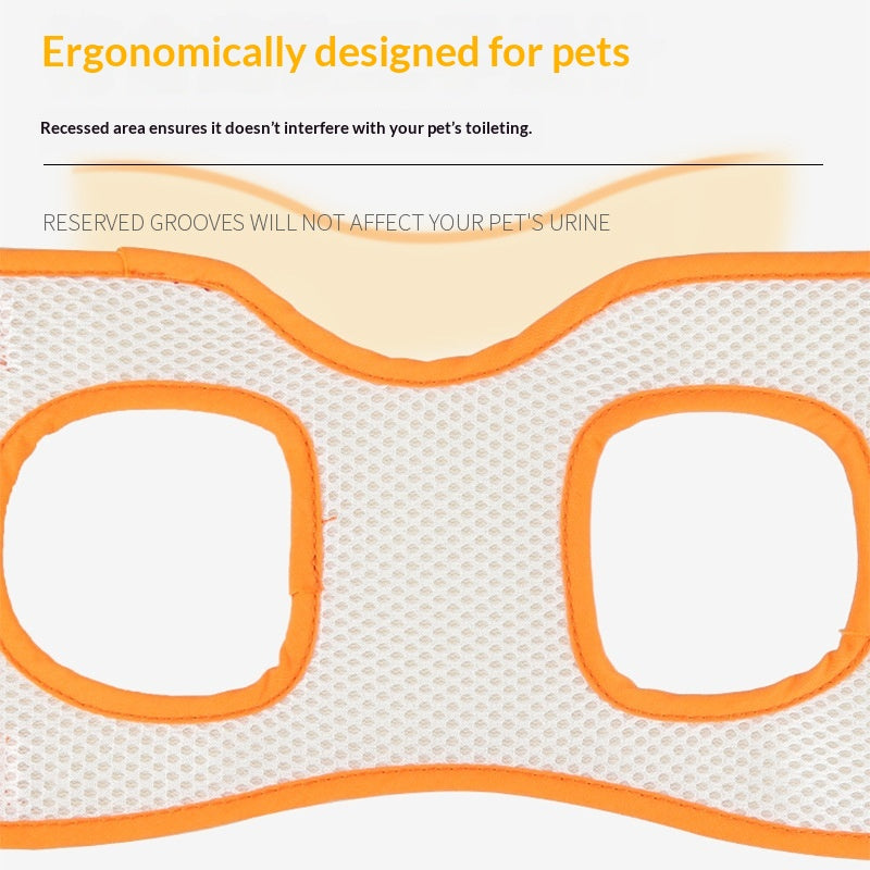 Assistive Rear-Leg Support Harness For Dogs With Disabilities