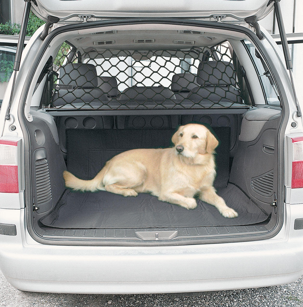 Dog Protective Net For Car Isolation