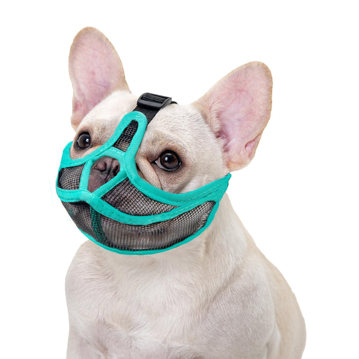 Breathable Anti-Bite Muzzle For Short-Snouted Dogs